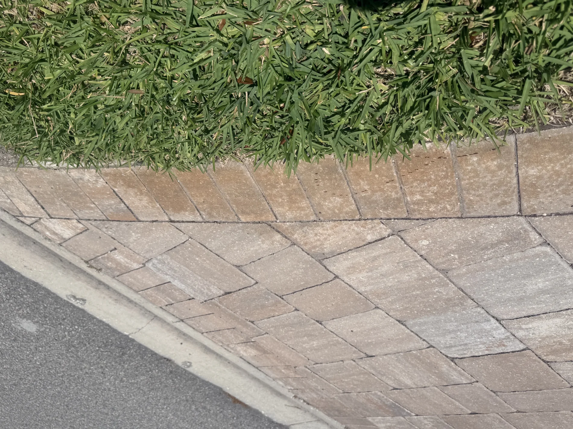Current paver joint close-up before restoration